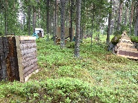 Kollan metsäkenttä kesällä 2013
